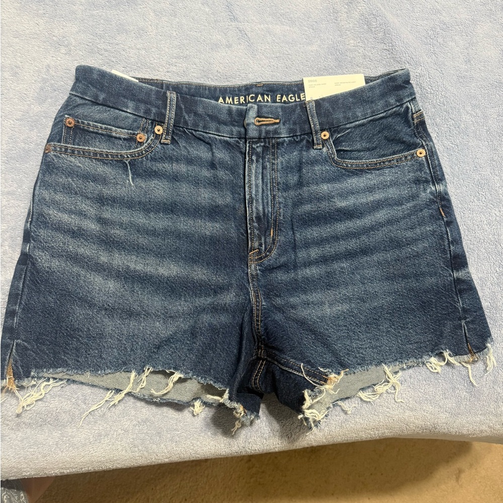 American Eagle Outfitters Distressed Blue Jean Shorts